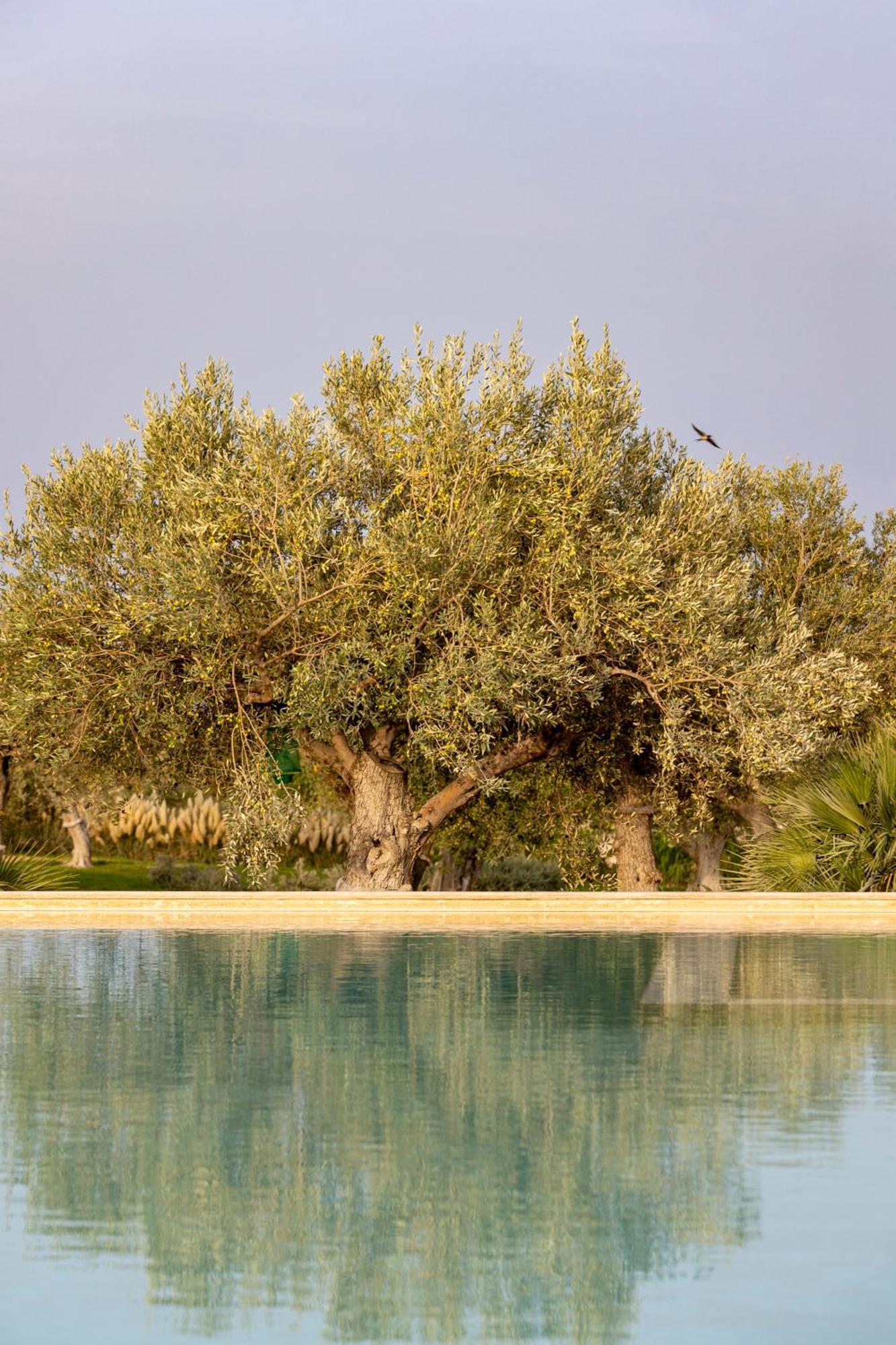 Agua Green Resort Reitani Kültér fotó
